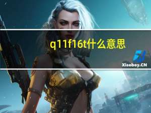 q11f16t什么意思（q11f 16t）