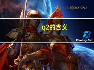 q2的含义