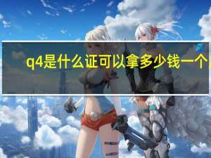 q4是什么证可以拿多少钱一个月（q4是什么证）