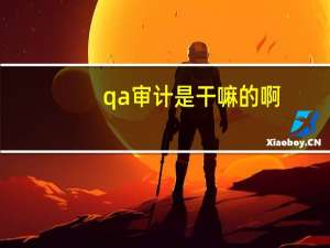 qa审计是干嘛的啊