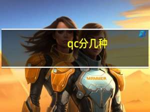 qc分几种