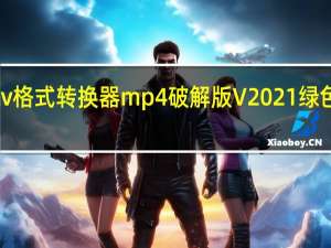 qlv格式转换器mp4破解版 V2021 绿色免费版（qlv格式转换器mp4破解版 V2021 绿色免费版功能简介）