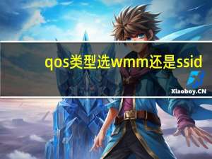 qos类型选wmm还是ssid（qos类型选哪个）