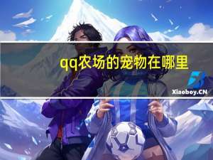 qq农场的宠物在哪里