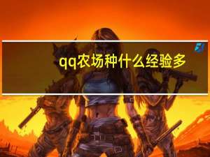 qq农场种什么经验多