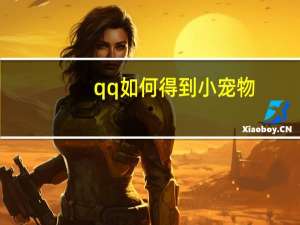 qq如何得到小宠物