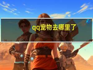 qq宠物去哪里了