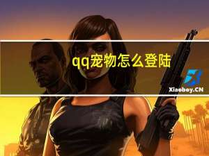 qq宠物怎么登陆