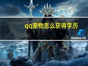 qq宠物怎么获得学历