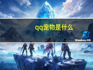 qq宠物是什么