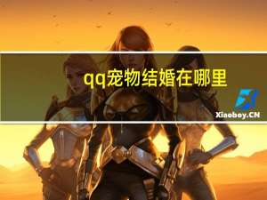 qq宠物结婚在哪里
