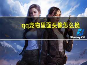 qq宠物里面头像怎么换