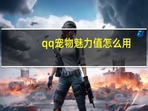 qq宠物魅力值怎么用