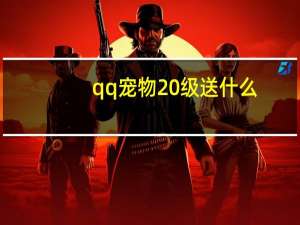qq宠物20级送什么