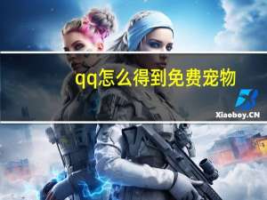 qq怎么得到免费宠物