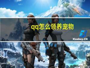 qq怎么领养宠物