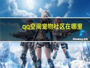 qq空间宠物社区在哪里