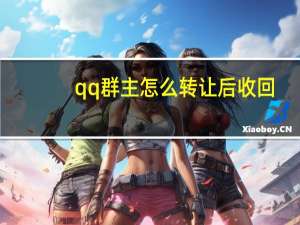 qq群主怎么转让后收回（qq群主怎么转让）