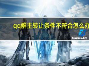 qq群主转让条件不符合怎么办（qq群主转让）