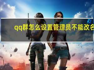 qq群怎么设置管理员不能改名（qq群怎么设置管理员）