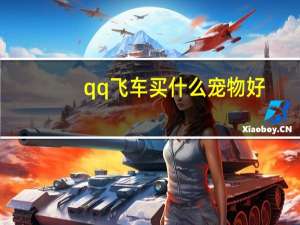 qq飞车买什么宠物好