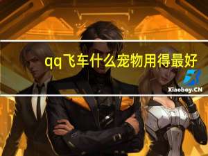 qq飞车什么宠物用得最好