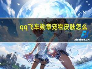 qq飞车勋章宠物皮肤怎么
