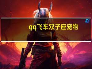 qq飞车双子座宠物