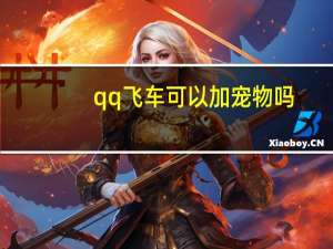 qq飞车可以加宠物吗