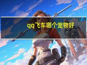 qq飞车哪个宠物好