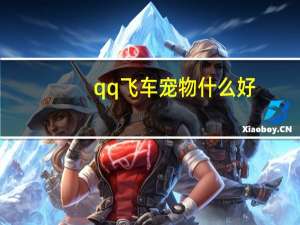 qq飞车宠物什么好