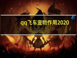 qq飞车宠物作用2020
