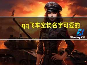 qq飞车宠物名字可爱的