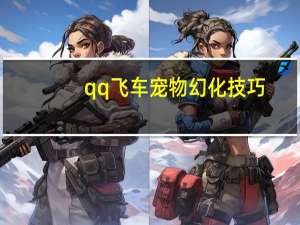 qq飞车宠物幻化技巧