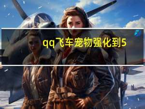 qq飞车宠物强化到5
