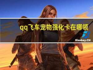 qq飞车宠物强化卡在哪领