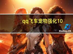 qq飞车宠物强化10