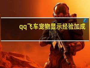 qq飞车宠物显示经验加成