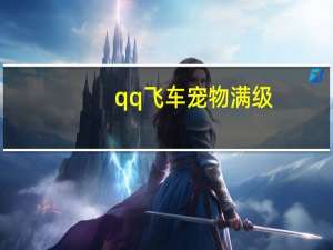 qq飞车宠物满级