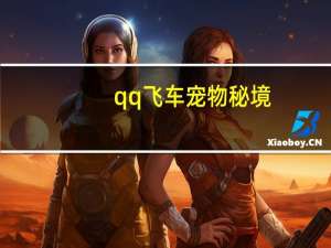 qq飞车宠物秘境