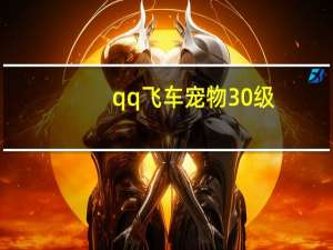 qq飞车宠物30级