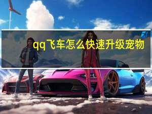 qq飞车怎么快速升级宠物