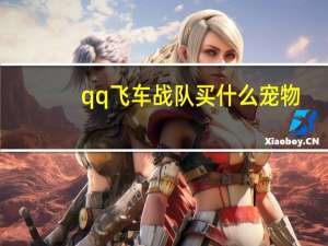 qq飞车战队买什么宠物