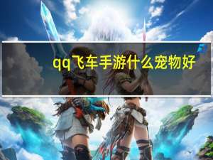 qq飞车手游什么宠物好
