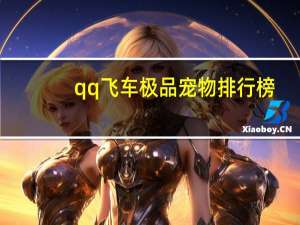 qq飞车极品宠物排行榜