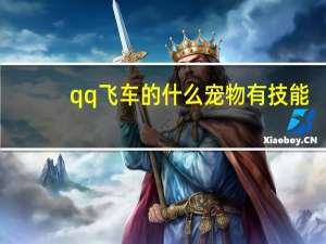 qq飞车的什么宠物有技能