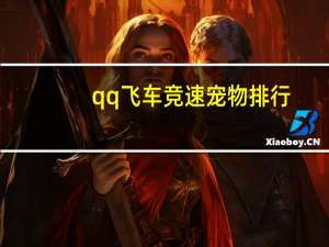 qq飞车竞速宠物排行