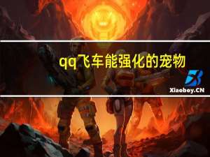 qq飞车能强化的宠物