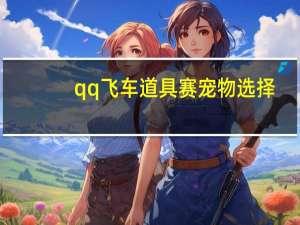 qq飞车道具赛宠物选择