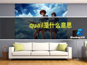 quail是什么意思